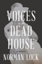 Voices In The Dead House - Preview