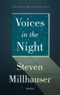 Voices In The Night - Preview