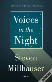 Capa do artigo Voices In The Night