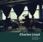 Voices in the Night - Vinil - Preview