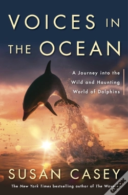 Capa do artigo Voices In The Ocean
