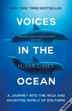 Capa do artigo Voices In The Ocean