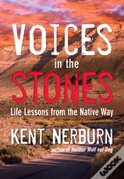 Capa do artigo Voices In The Stones