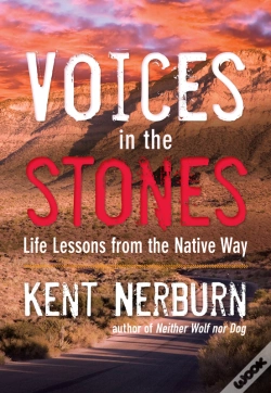 Capa do artigo Voices In The Stones