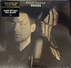 Capa do artigo Voices - Vinil
