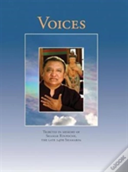 Capa do artigo Voices