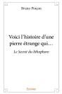 Voici L'Histoire D'Une Pierre Étrange Qui... : Le Secret Du Lithophore - Preview