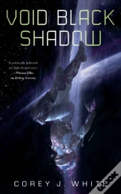 Capa do artigo Void Black Shadow