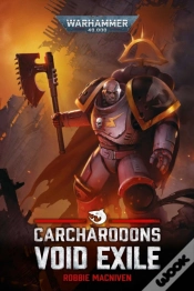 Capa do artigo Void Exile
