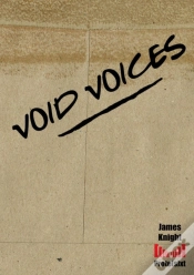 Capa do artigo Void Voices