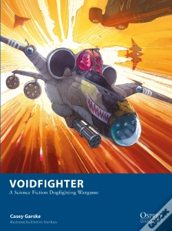 Capa do artigo Voidfighter