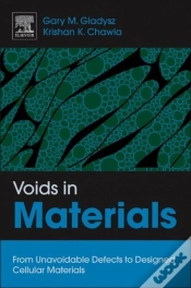 Capa do artigo Voids In Materials