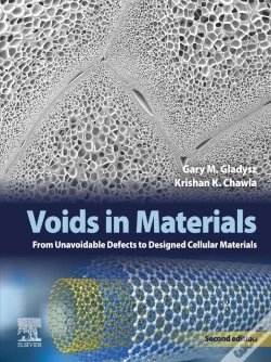 Capa do artigo Voids In Materials