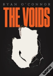 Capa do artigo Voids