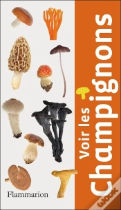 Capa do artigo Voir Les Champignons