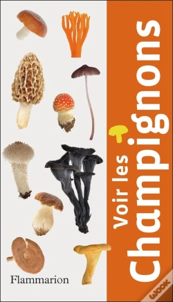 Capa do artigo Voir Les Champignons