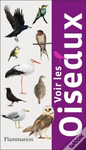 Capa do artigo Voir Les Oiseaux