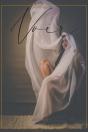 Voir - Preview