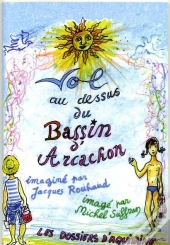 Vol Au Dessus Du Bassin D'Arcachon