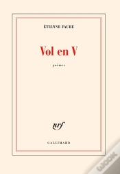 Capa do artigo Vol En V