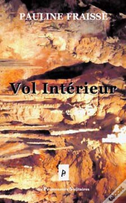 Capa do artigo Vol Intérieur