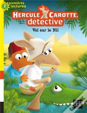 Vol Sur Le Nil