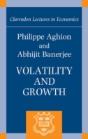 Volatility And Growth - Preview