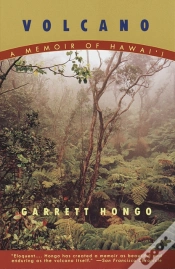 Capa do artigo Volcano