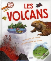 Capa do artigo Volcans
