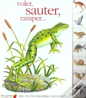 Capa do artigo Voler Sauter Ramper