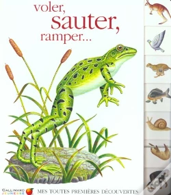 Capa do artigo Voler Sauter Ramper