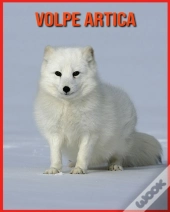 Volpe Artica