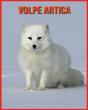 Volpe Artica - Preview