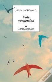 Capa do artigo Vols Vespertins