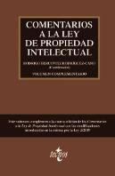 Volumen Complementario A La Cuarta Edicion De Comentarios A La Ley De Propiedad