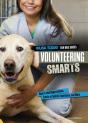 Volunteering Smarts - Preview