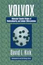 Volvox - Preview