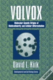 Capa do artigo Volvox