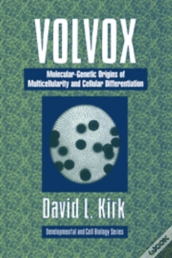 Capa do artigo Volvox