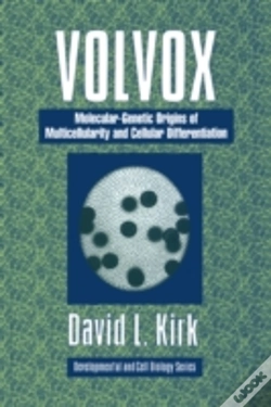 Capa do artigo Volvox