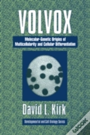 Capa do artigo Volvox