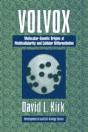 Volvox - Preview