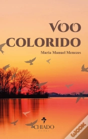 Capa do artigo Voo Colorido