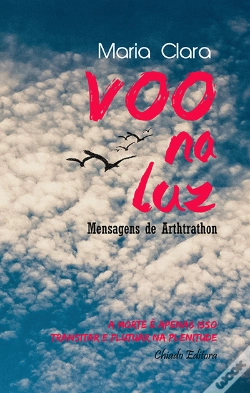 Capa do artigo Voo na Luz