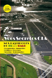 Capa do artigo Voos 