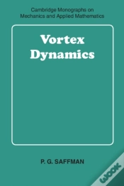 Capa do artigo Vortex Dynamics
