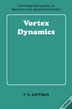Capa do artigo Vortex Dynamics