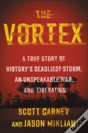 Capa do artigo Vortex