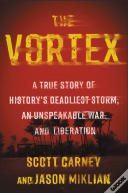 Capa do artigo Vortex