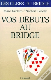 Capa do artigo Vos Premiers Pas Au Bridge